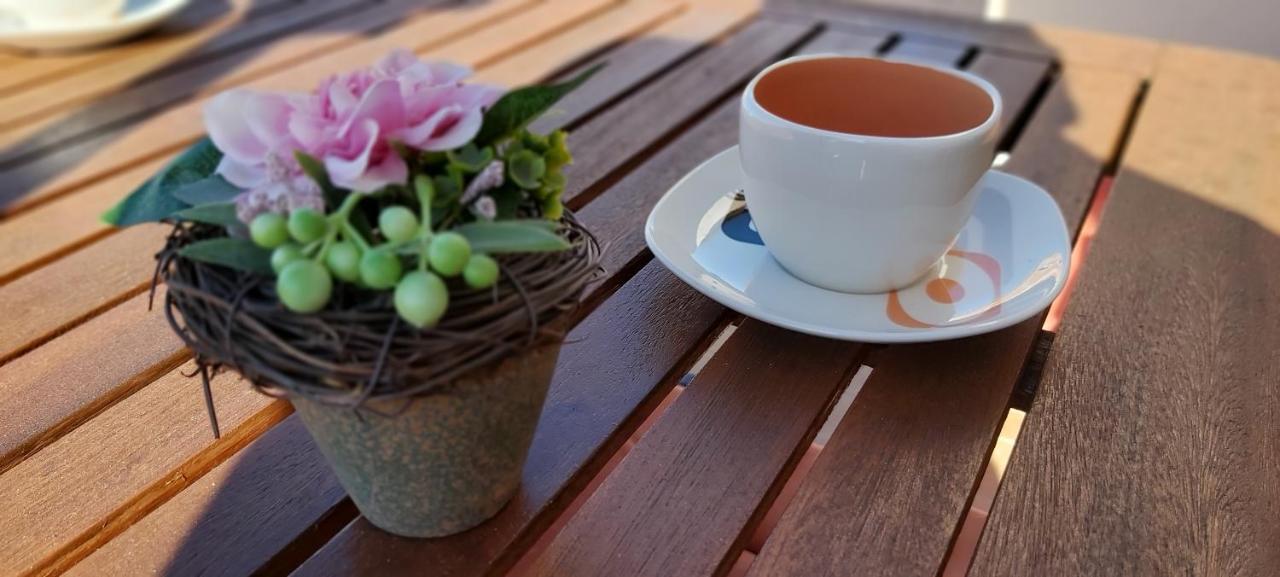Apartment Anamaria شيبينيك المظهر الخارجي الصورة